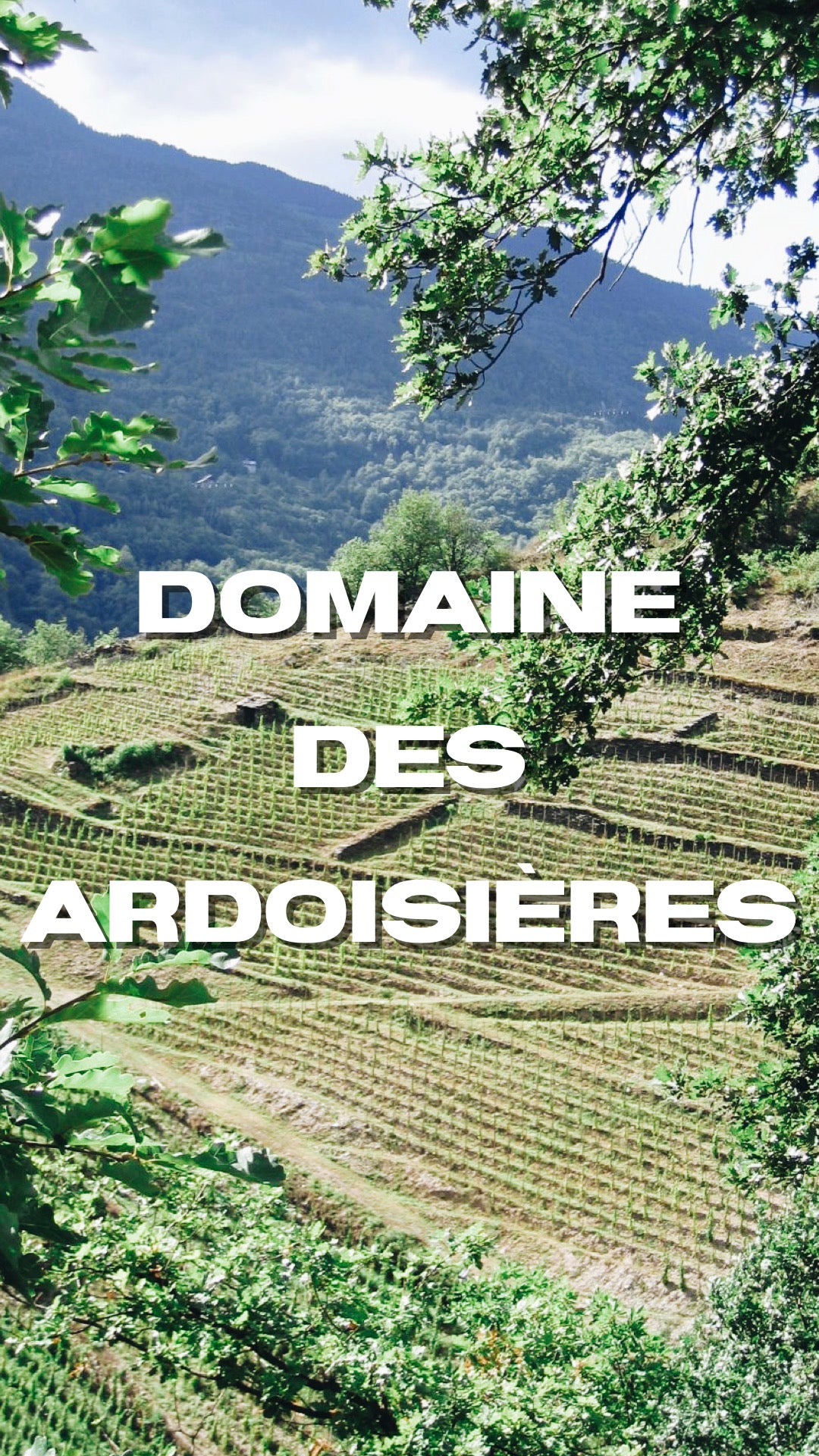 Glacial Juice: Domaine des Ardoisières