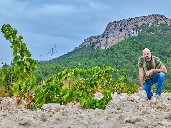 A Benchmark for Southeastern Spain: Javier Revert