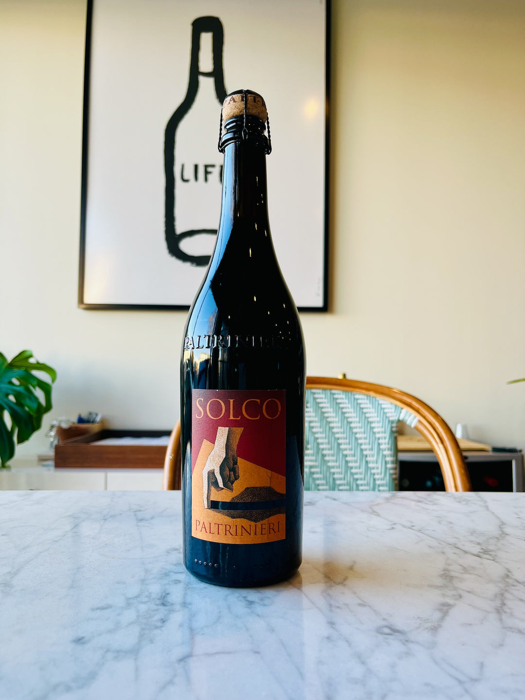 Paltrinieri 'Solco' Lambrusco, Emilia Romagna, Italy 2023