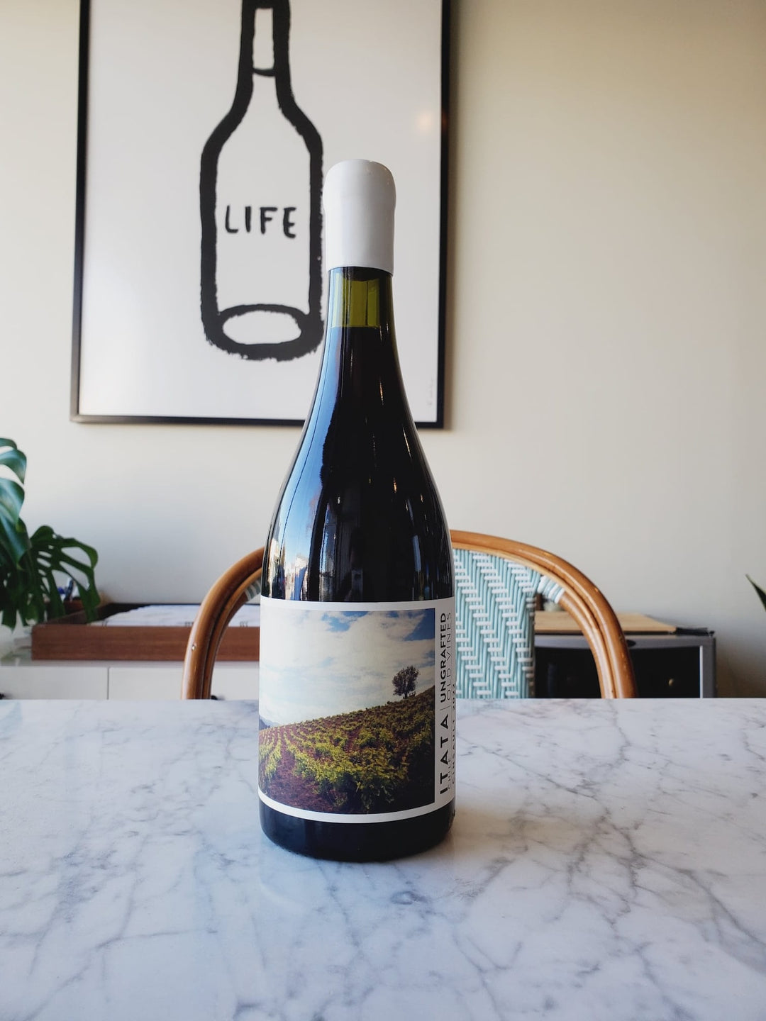 De Martino, Ungrafted Cinsault, Itata Valley, Chile 2024