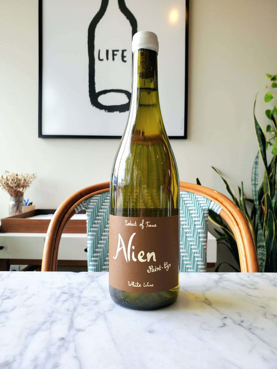 Domaine Saint Cyr 'Alien' Aligoté, France 2024