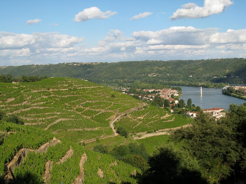 Andre Perret Clos Chery Vineyards in Northern Rhone