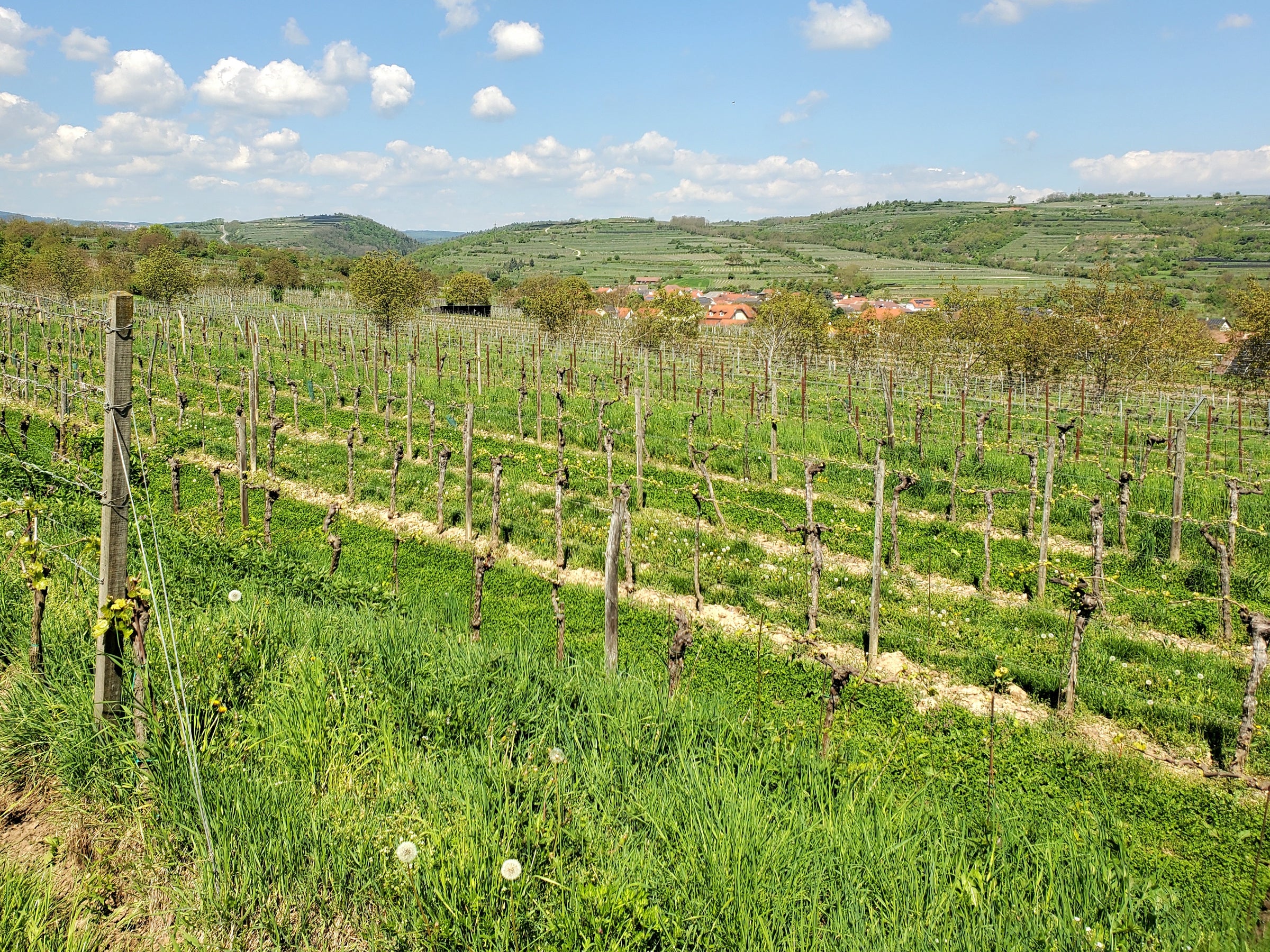 Biodynamic