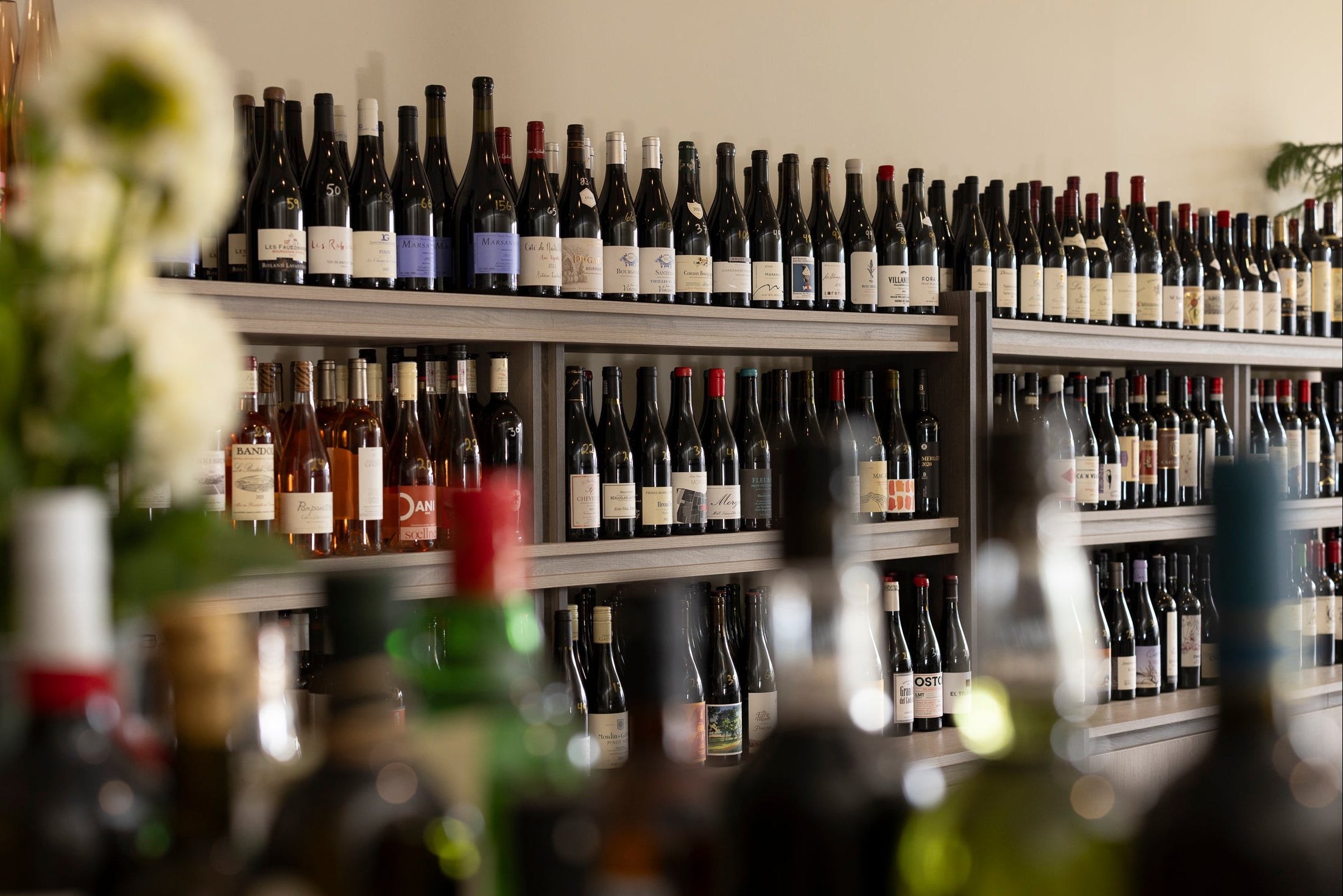 Shelves filled with various bottles of wine in a store setting.