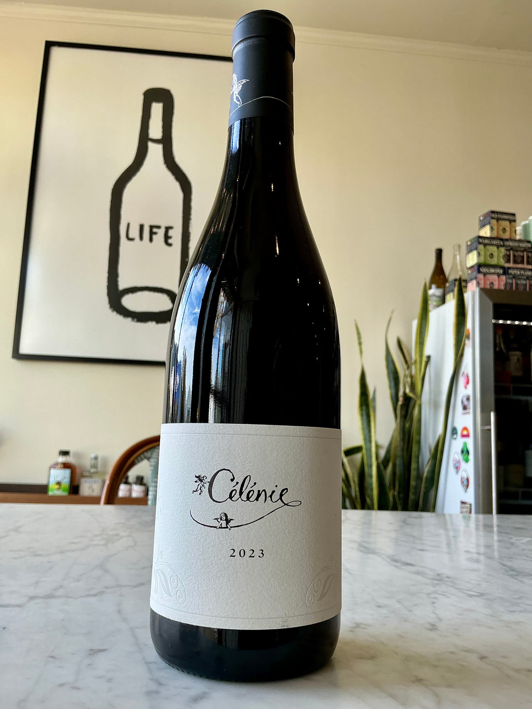 Les Terres de Phileandre 'Célénie' Bourgogne Hautes Côtes De Nuits, France 2023