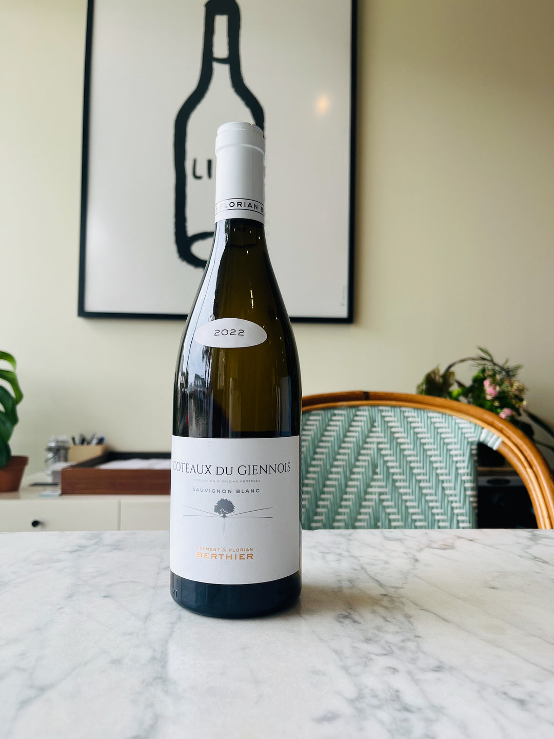 Clement & Florian Berthier Coteaux Giennois Blanc, France 2023 [375ml]