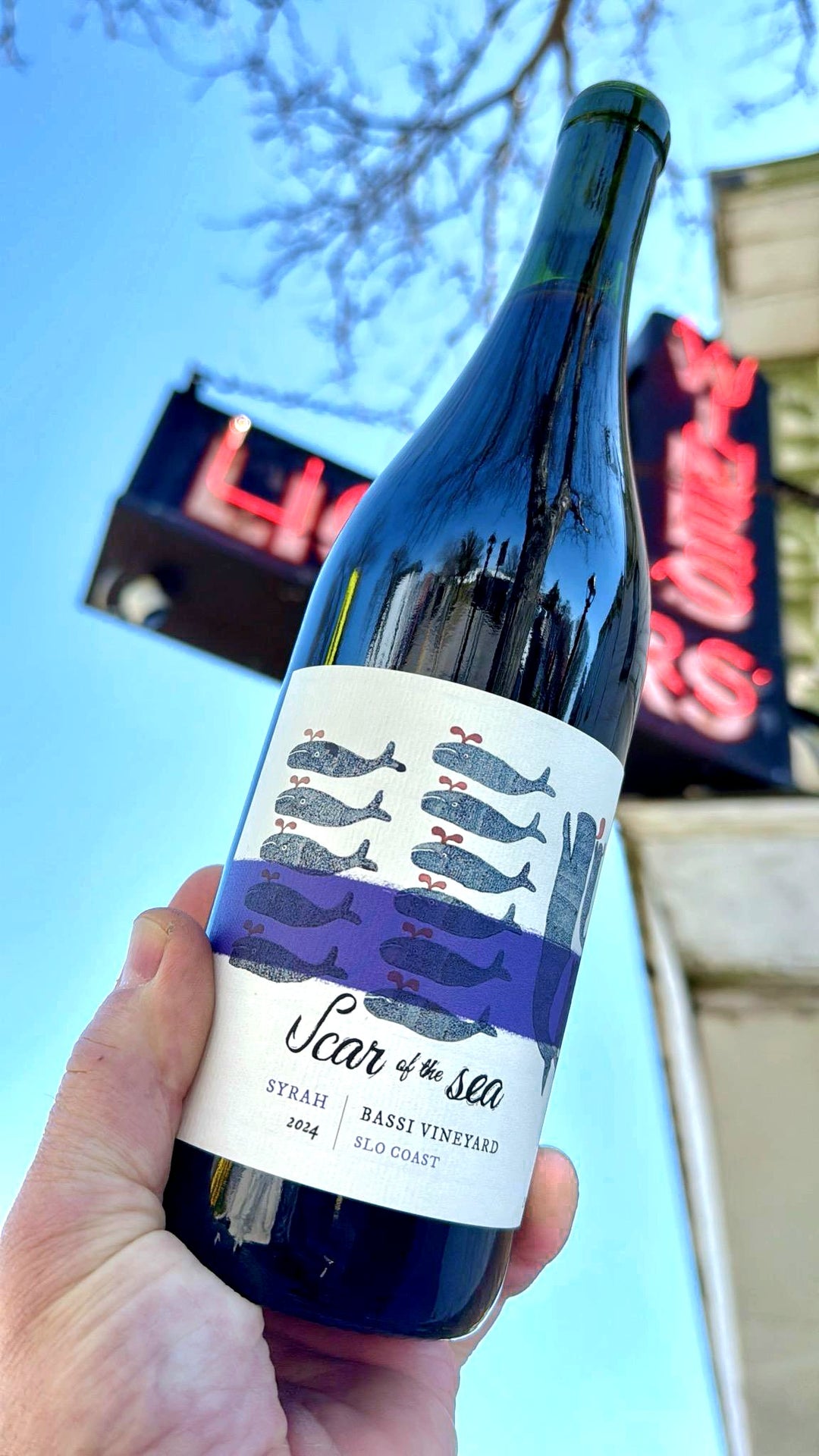 Scar of the Sea 'Bassi Vineyard' Syrah, SLO Coast, California 2024