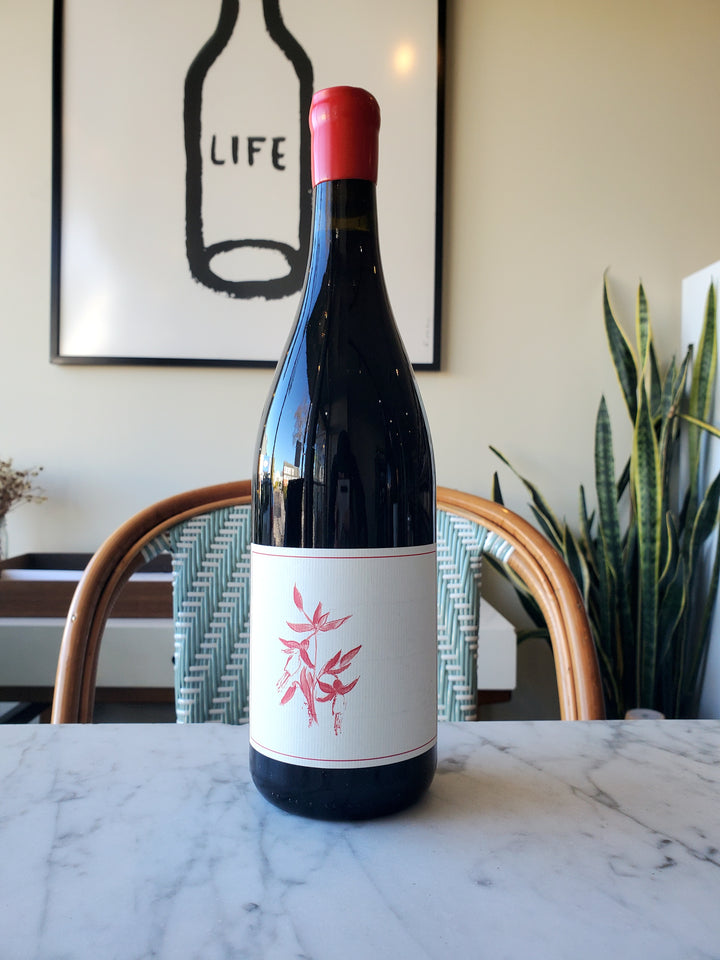 Arnot-Roberts Pinot Noir, Fox Creek Vineyard, Carmel Valley, California 2024