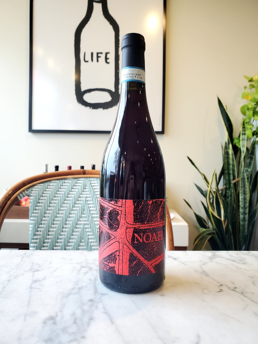 NOAH 'Rossonoah' Coste della Sesia, Italy 2024