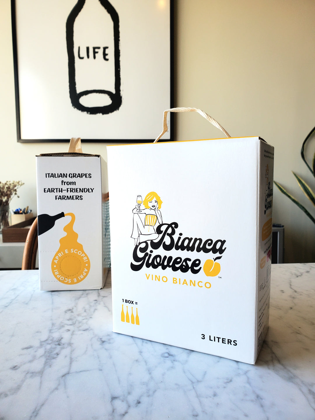 Bianca Giovese Vino Bianco Box, Italy, NV