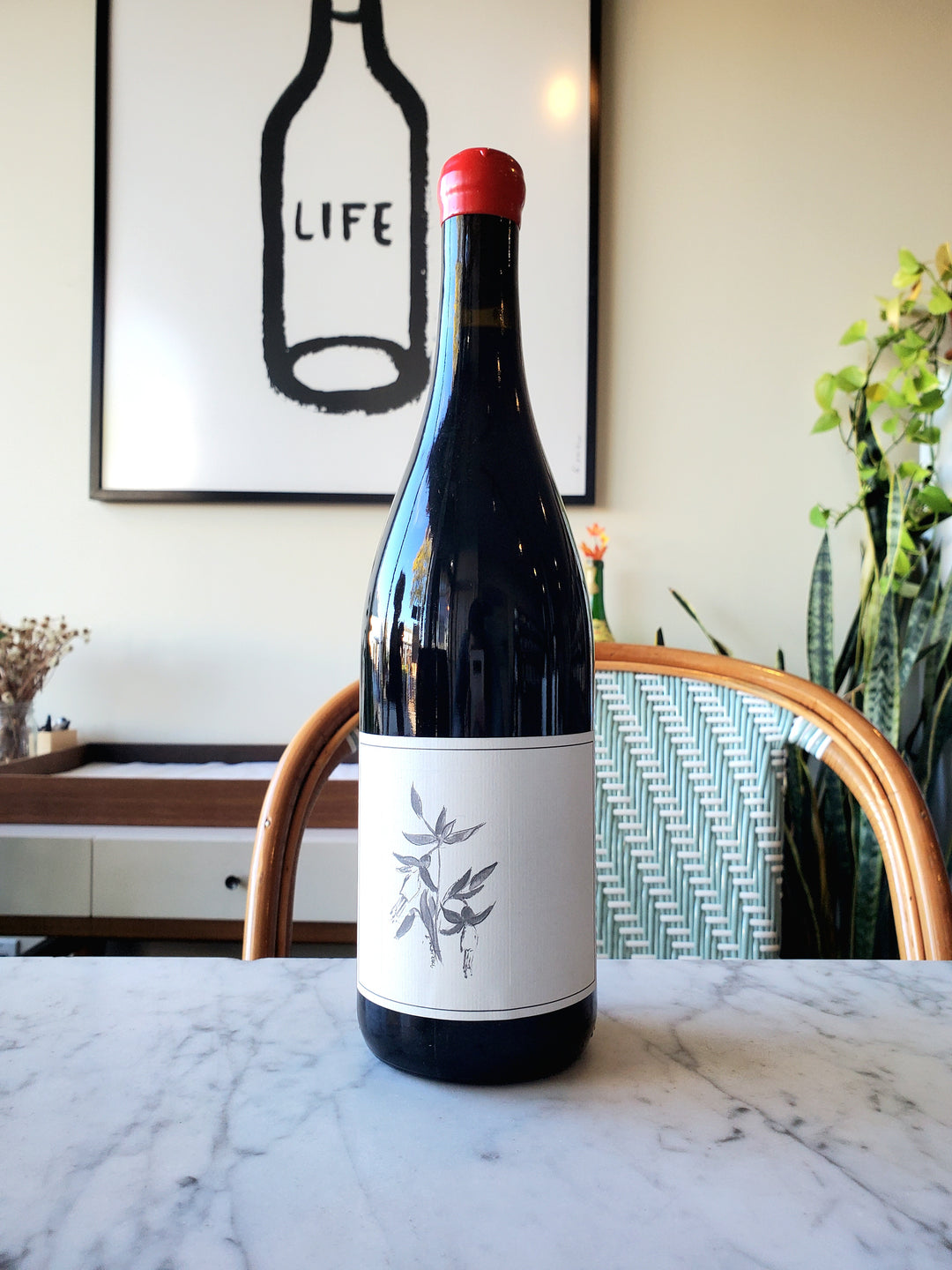 Arnot-Roberts Zinfandel 'Kirschenmann Vineyard', North Coast California, United States 2023