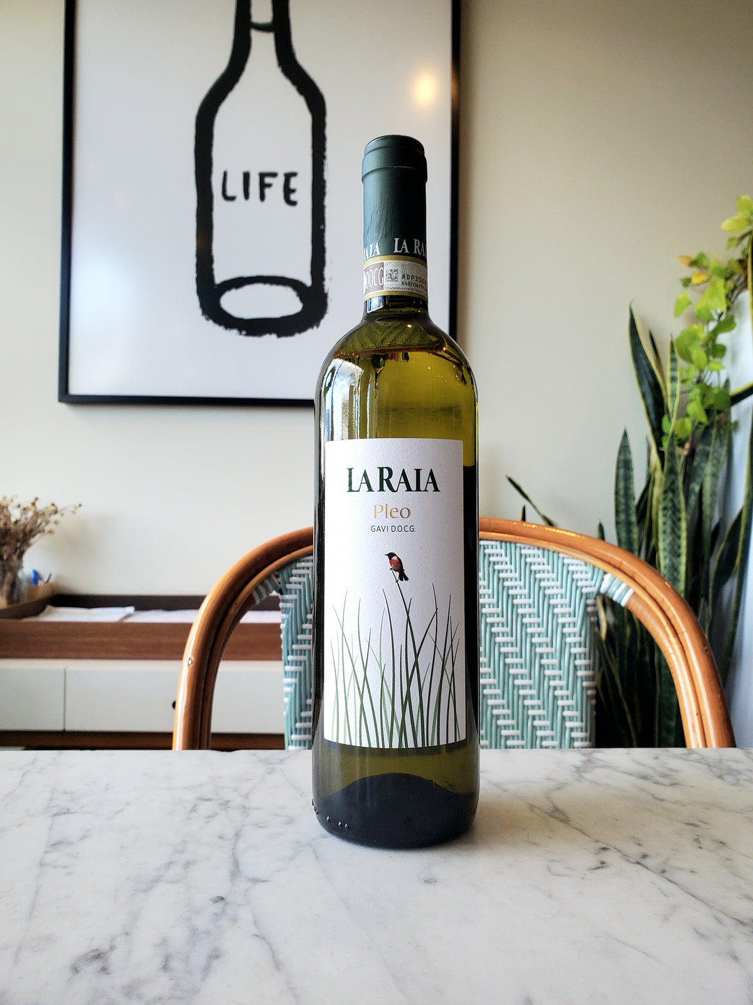 La Raia 'Pleo' Gavi, Italy 2024