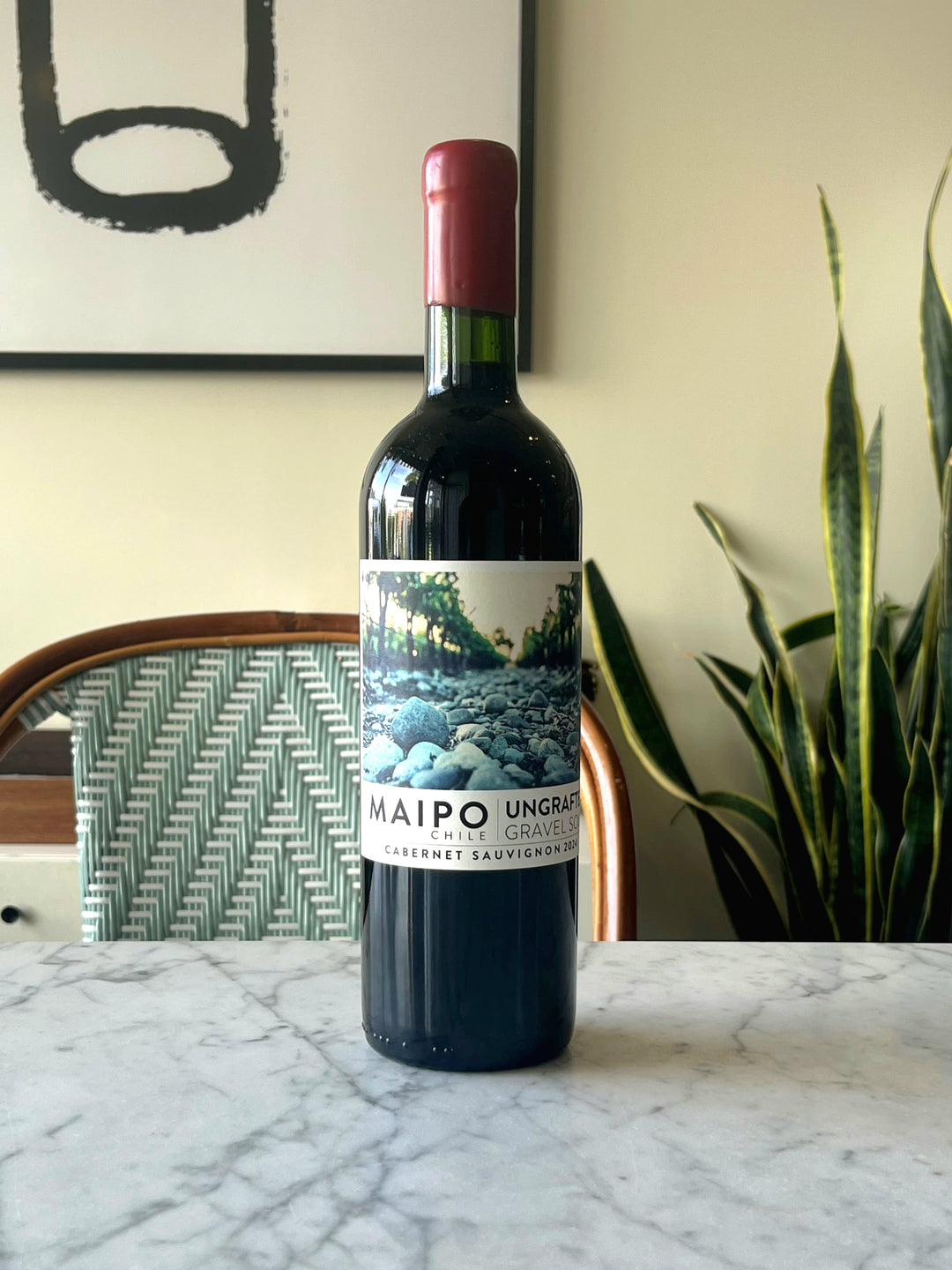 De Martino 'Ungrafted' Cabernet Sauvignon, Maipo Valley, Chile 2024