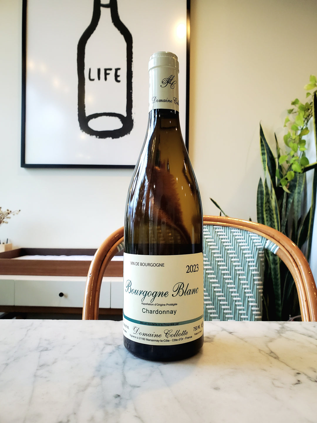 Domaine Collotte Bourgogne Blanc, Burgundy 2023
