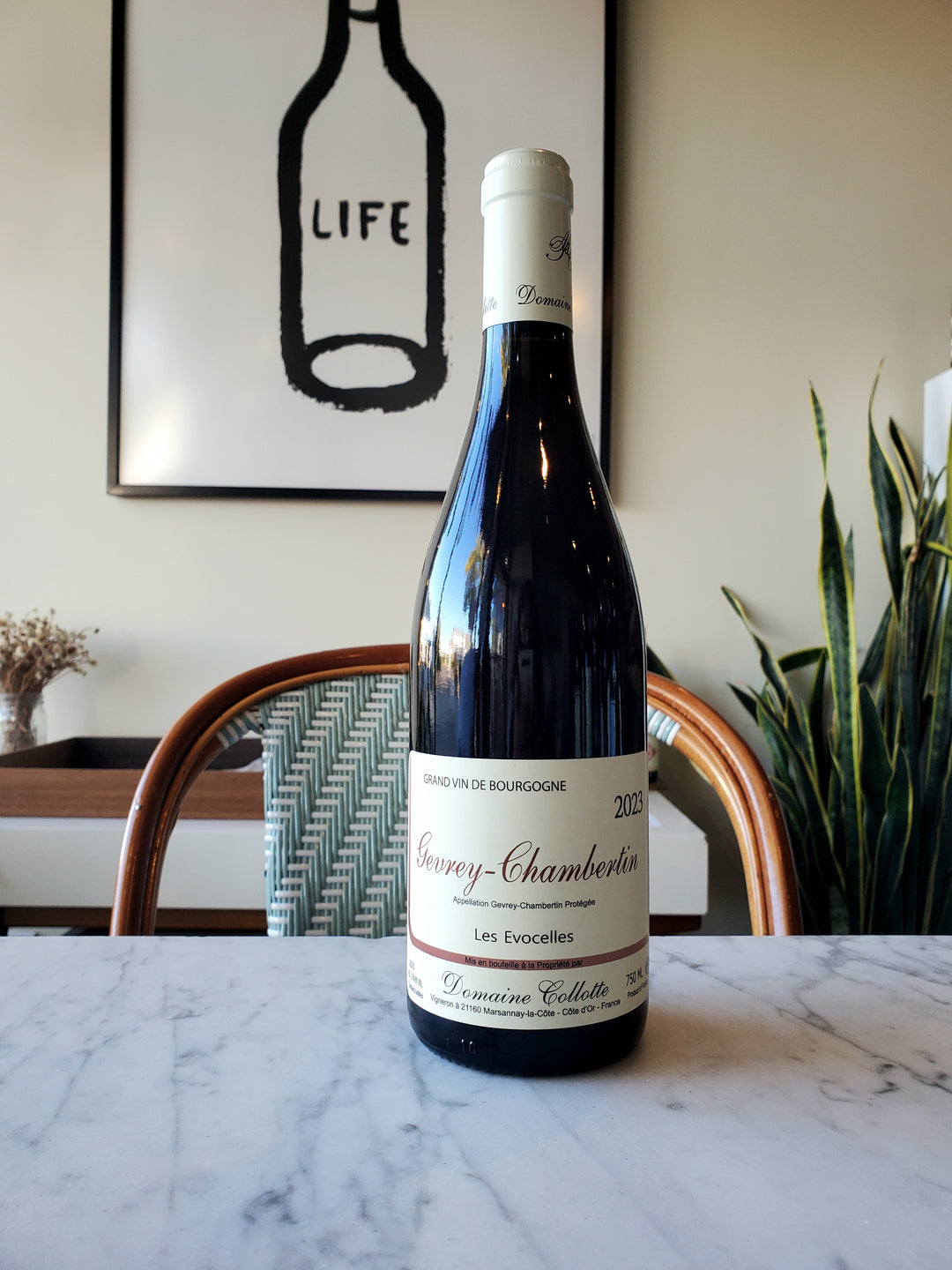 Domaine Collotte 'Les Evocelles' Gevrey-Chambertin, Burgundy 2023